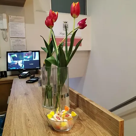 Guest house Sorge *