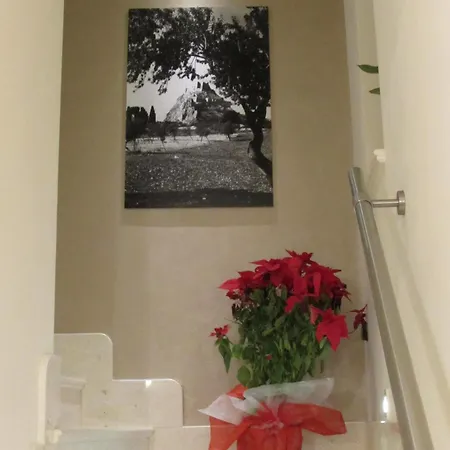 Sorge Guest house