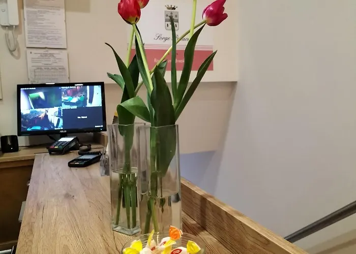 Gasthuis Sorge Palace 4*