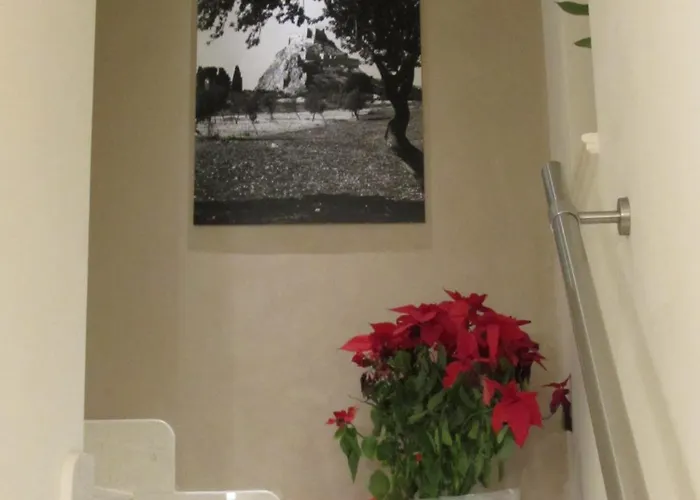 Sorge Palace 招待所